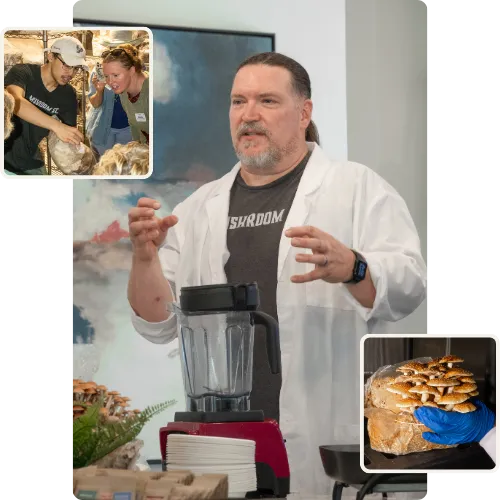 Fresh gourmet mushrooms from Mushroom Street Farms